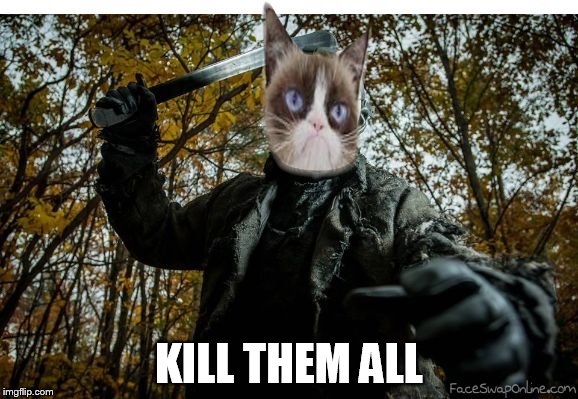 grumpy cat jason | KILL THEM ALL | image tagged in grumpy cat jason | made w/ Imgflip meme maker
