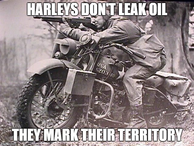 Harley territory | HARLEYS DON'T LEAK OIL; THEY MARK THEIR TERRITORY | image tagged in harley davidson,motorcycle | made w/ Imgflip meme maker