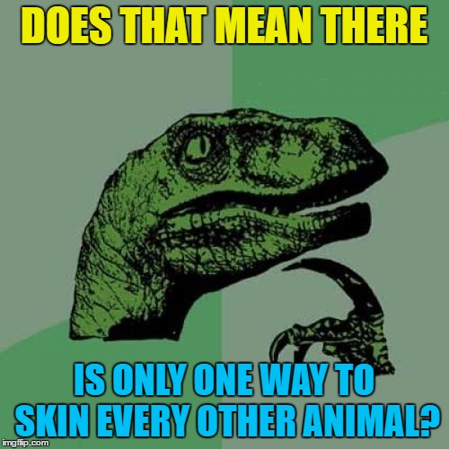 Philosoraptor Meme | DOES THAT MEAN THERE IS ONLY ONE WAY TO SKIN EVERY OTHER ANIMAL? | image tagged in memes,philosoraptor | made w/ Imgflip meme maker
