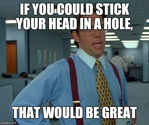 That Would Be Great | IF YOU COULD STICK YOUR HEAD IN A HOLE, THAT WOULD BE GREAT | image tagged in memes,that would be great | made w/ Imgflip meme maker