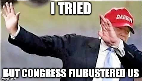 I TRIED BUT CONGRESS FILIBUSTERED US | image tagged in donald trump dab | made w/ Imgflip meme maker
