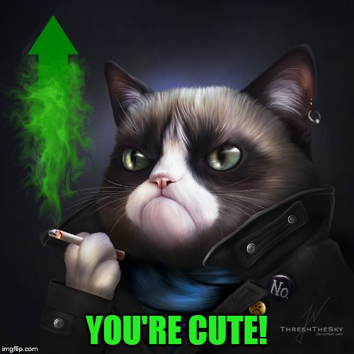 YOU'RE CUTE! | made w/ Imgflip meme maker