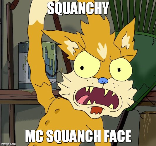 Squanchy Mc Squanch Face | SQUANCHY; MC SQUANCH FACE | image tagged in rick and morty,memes,funny | made w/ Imgflip meme maker