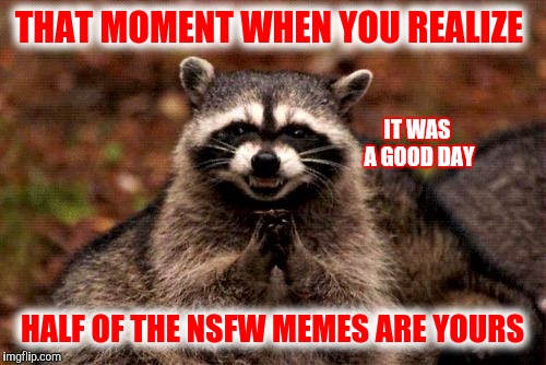 My bed mate called me a perv. I told her everyone needs a hobby | THAT MOMENT WHEN YOU REALIZE; IT WAS A GOOD DAY; HALF OF THE NSFW MEMES ARE YOURS | image tagged in memes,evil plotting raccoon,nsfw | made w/ Imgflip meme maker