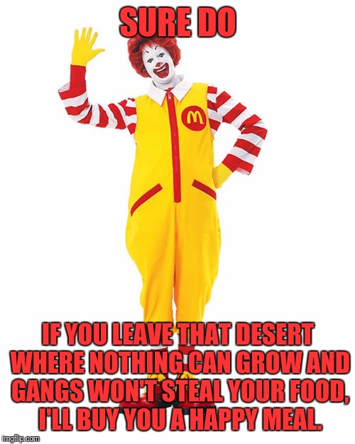 SURE DO IF YOU LEAVE THAT DESERT WHERE NOTHING CAN GROW AND GANGS WON'T STEAL YOUR FOOD, I'LL BUY YOU A HAPPY MEAL. | made w/ Imgflip meme maker