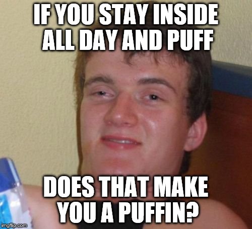 10 Guy Meme | IF YOU STAY INSIDE ALL DAY AND PUFF; DOES THAT MAKE YOU A PUFFIN? | image tagged in memes,10 guy | made w/ Imgflip meme maker