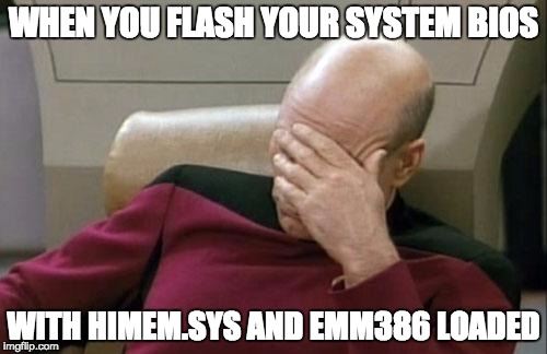 Captain Picard Facepalm | WHEN YOU FLASH YOUR SYSTEM BIOS; WITH HIMEM.SYS AND EMM386 LOADED | image tagged in memes,captain picard facepalm | made w/ Imgflip meme maker