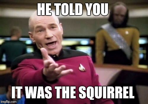 Picard Wtf Meme | HE TOLD YOU IT WAS THE SQUIRREL | image tagged in memes,picard wtf | made w/ Imgflip meme maker