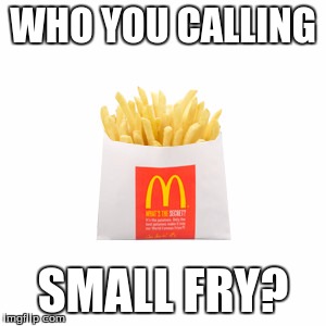 WHO YOU CALLING; SMALL FRY? | image tagged in mcdonalds,funny,memes,french fries | made w/ Imgflip meme maker