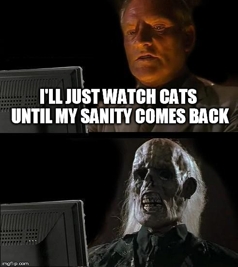 Nothing can purify me | I'LL JUST WATCH CATS UNTIL MY SANITY COMES BACK | image tagged in memes,ill just wait here,cats,pure | made w/ Imgflip meme maker