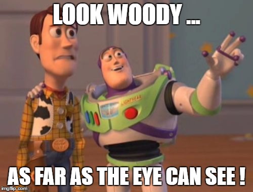 X, X Everywhere | LOOK WOODY ... AS FAR AS THE EYE CAN SEE ! | image tagged in memes,x x everywhere | made w/ Imgflip meme maker