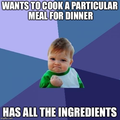 Success Kid Meme | WANTS TO COOK A PARTICULAR MEAL FOR DINNER; HAS ALL THE INGREDIENTS | image tagged in memes,success kid | made w/ Imgflip meme maker