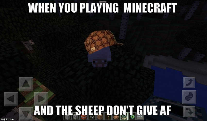  WHEN YOU PLAYING  MINECRAFT; AND THE SHEEP DON'T GIVE AF | image tagged in minecraft | made w/ Imgflip meme maker
