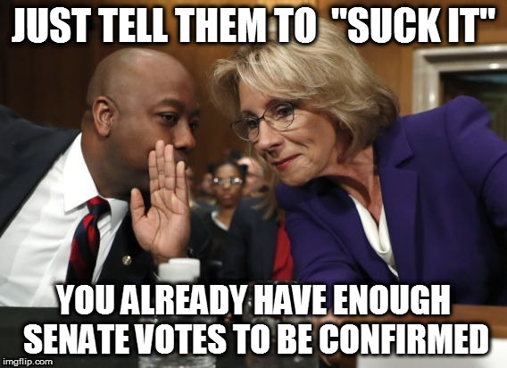 DeVos confirmation hearing | JUST TELL THEM TO  "SUCK IT"; YOU ALREADY HAVE ENOUGH SENATE VOTES TO BE CONFIRMED | image tagged in betsy devos | made w/ Imgflip meme maker