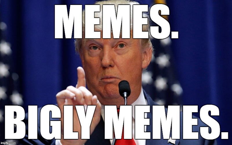 Donald Trump | MEMES. BIGLY MEMES. | image tagged in donald trump | made w/ Imgflip meme maker