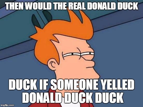 Futurama Fry Meme | THEN WOULD THE REAL DONALD DUCK DUCK IF SOMEONE YELLED DONALD DUCK DUCK | image tagged in memes,futurama fry | made w/ Imgflip meme maker