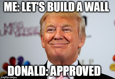 Donald trump approves | ME: LET'S BUILD A WALL; DONALD: APPROVED | image tagged in donald trump approves | made w/ Imgflip meme maker