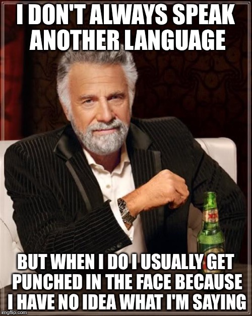 The Most Interesting Man In The World Meme | I DON'T ALWAYS SPEAK ANOTHER LANGUAGE; BUT WHEN I DO I USUALLY GET PUNCHED IN THE FACE BECAUSE I HAVE NO IDEA WHAT I'M SAYING | image tagged in memes,the most interesting man in the world | made w/ Imgflip meme maker