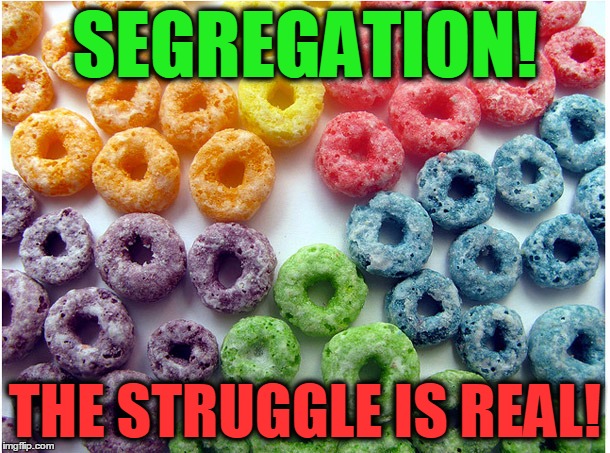 Froot loops lives matter! | SEGREGATION! THE STRUGGLE IS REAL! | image tagged in ocd froot loops,lives matter,triggered | made w/ Imgflip meme maker
