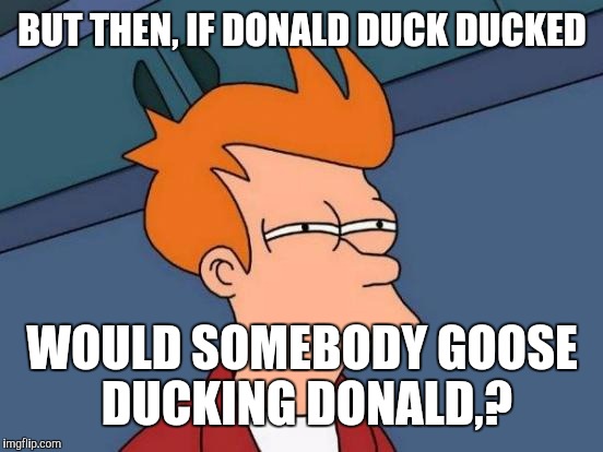 Futurama Fry Meme | BUT THEN, IF DONALD DUCK DUCKED WOULD SOMEBODY GOOSE DUCKING DONALD,? | image tagged in memes,futurama fry | made w/ Imgflip meme maker
