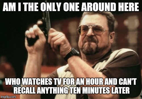 Am I The Only One Around Here Meme | AM I THE ONLY ONE AROUND HERE; WHO WATCHES TV FOR AN HOUR AND CAN'T RECALL ANYTHING TEN MINUTES LATER | image tagged in memes,am i the only one around here | made w/ Imgflip meme maker