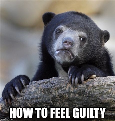 Confession Bear Meme | HOW TO FEEL GUILTY | image tagged in memes,confession bear | made w/ Imgflip meme maker