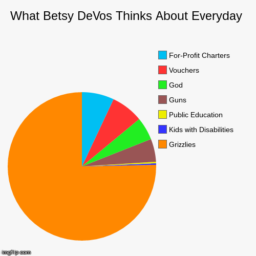 Betsy DeVos | image tagged in education | made w/ Imgflip chart maker
