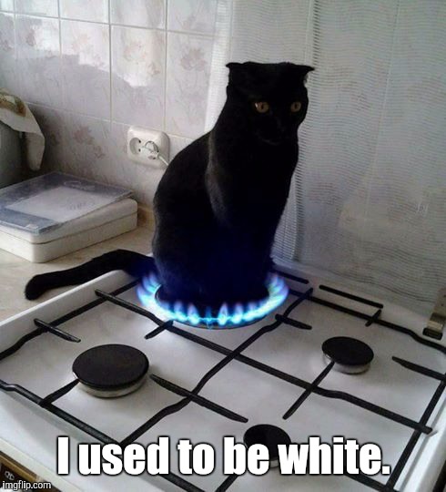 Hot Cat | I used to be white. | image tagged in hot cat | made w/ Imgflip meme maker
