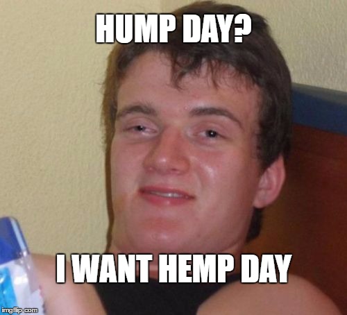 10 Guy | HUMP DAY? I WANT HEMP DAY | image tagged in memes,10 guy | made w/ Imgflip meme maker