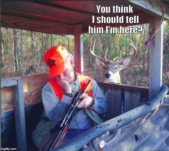Sleeping hunter | You think I should tell him I'm here? | image tagged in sleeping hunter | made w/ Imgflip meme maker