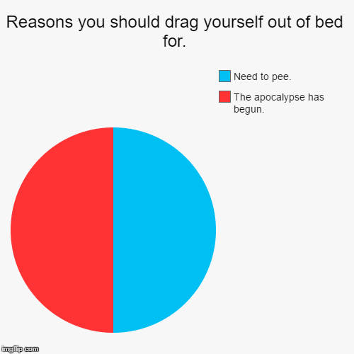 image tagged in funny,pie charts | made w/ Imgflip chart maker