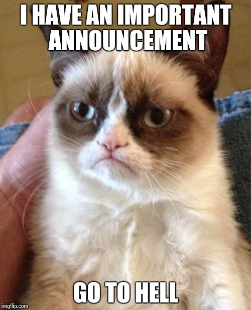 Go To Hell | I HAVE AN IMPORTANT ANNOUNCEMENT; GO TO HELL | image tagged in memes,grumpy cat | made w/ Imgflip meme maker