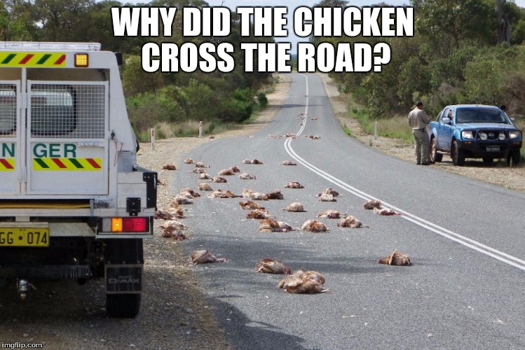 WHY DID THE CHICKEN  CROSS THE ROAD? | image tagged in memes,funny memes,funny,puns | made w/ Imgflip meme maker