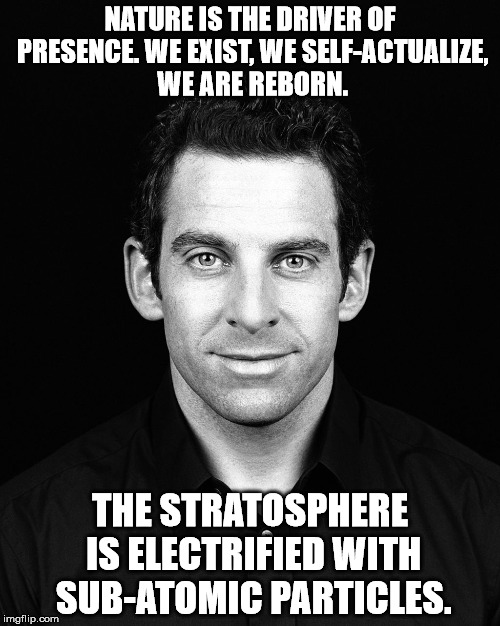 Sam Harris | NATURE IS THE DRIVER OF PRESENCE. WE EXIST, WE SELF-ACTUALIZE, WE ARE REBORN. THE STRATOSPHERE IS ELECTRIFIED WITH SUB-ATOMIC PARTICLES. | image tagged in sam harris | made w/ Imgflip meme maker