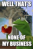 Kermit casual | WELL THAT'S; NONE OF MY BUSINESS | image tagged in kermit,911 | made w/ Imgflip meme maker
