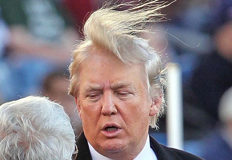 Trumps Hair: It's alive, it's alive! Blank Meme Template