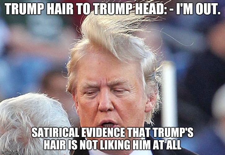 Trumps Hair: It's alive, it's alive! | TRUMP HAIR TO TRUMP HEAD: - I'M OUT. SATIRICAL EVIDENCE THAT TRUMP'S HAIR IS NOT LIKING HIM AT ALL | image tagged in trumps hair: it's alive it's alive! | made w/ Imgflip meme maker