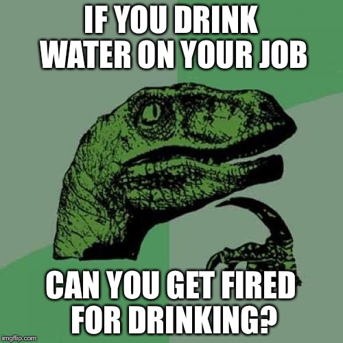 Philosoraptor Meme | IF YOU DRINK WATER ON YOUR JOB; CAN YOU GET FIRED FOR DRINKING? | image tagged in memes,philosoraptor | made w/ Imgflip meme maker