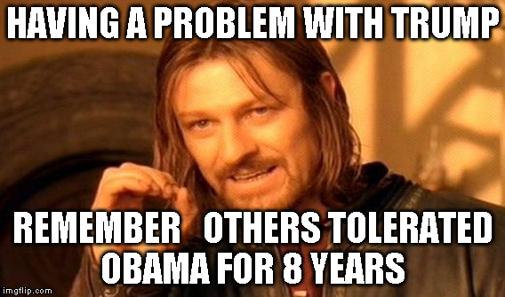 One Does Not Simply | HAVING A PROBLEM WITH TRUMP; REMEMBER   OTHERS TOLERATED OBAMA FOR 8 YEARS | image tagged in memes,one does not simply | made w/ Imgflip meme maker