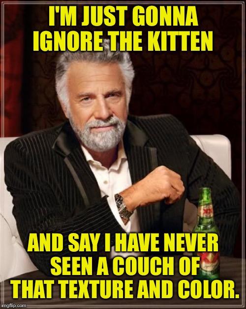 The Most Interesting Man In The World Meme | I'M JUST GONNA IGNORE THE KITTEN AND SAY I HAVE NEVER SEEN A COUCH OF THAT TEXTURE AND COLOR. | image tagged in memes,the most interesting man in the world | made w/ Imgflip meme maker
