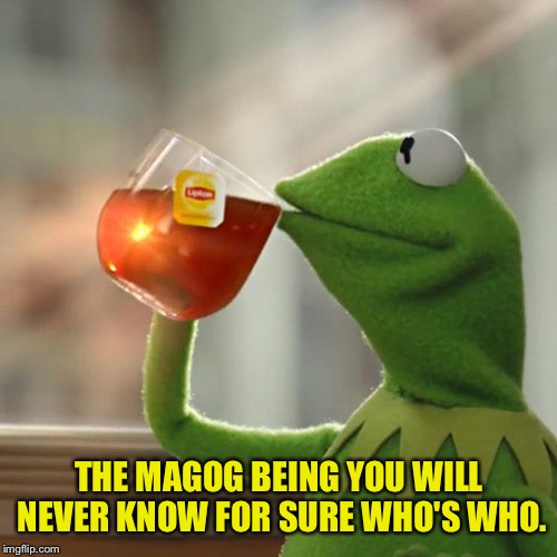 But That's None Of My Business Meme | THE MAGOG BEING YOU WILL NEVER KNOW FOR SURE WHO'S WHO. | image tagged in memes,but thats none of my business,kermit the frog | made w/ Imgflip meme maker