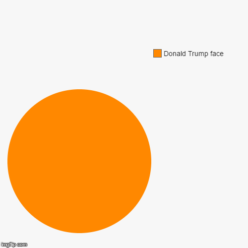 | Donald Trump face | image tagged in orange is the new black,donald trump,totally looks like,annoying orange,orange | made w/ Imgflip chart maker