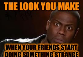 Kevin Hart | THE LOOK YOU MAKE; WHEN YOUR FRIENDS START DOING SOMETHING STRANGE | image tagged in memes,kevin hart the hell | made w/ Imgflip meme maker