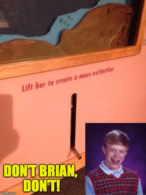 Brian Apocalypse | DON’T BRIAN, DON’T! | image tagged in bad luck brian,extinction,apocalypse | made w/ Imgflip meme maker