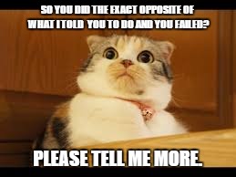Surprised cat.   | SO YOU DID THE EXACT OPPOSITE OF WHAT I TOLD  YOU TO DO AND YOU FAILED? PLEASE TELL ME MORE. | image tagged in cat,kitten,did not listen,surprised | made w/ Imgflip meme maker