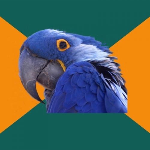 Paranoid Parrot  Blank Meme Template