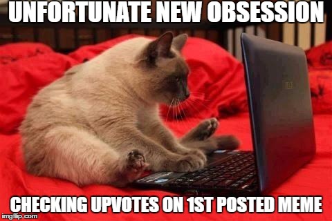 Laptop Cat | UNFORTUNATE NEW OBSESSION; CHECKING UPVOTES ON 1ST POSTED MEME | image tagged in laptop cat | made w/ Imgflip meme maker