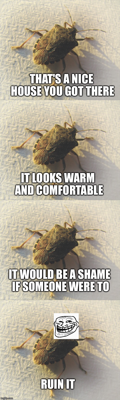 Stinkbugs | THAT'S A NICE HOUSE YOU GOT THERE; IT LOOKS WARM AND COMFORTABLE; IT WOULD BE A SHAME IF SOMEONE WERE TO; RUIN IT | image tagged in stink bug,memes,bugs,funny,funny memes,troll | made w/ Imgflip meme maker