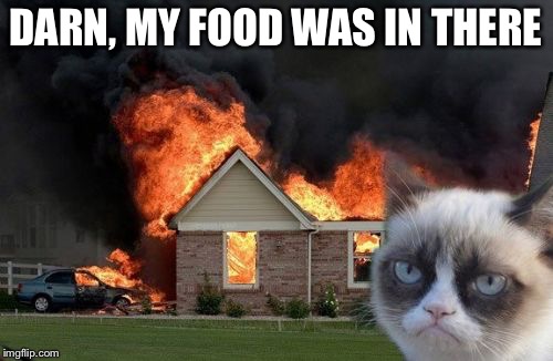 Burn Kitty | DARN, MY FOOD WAS IN THERE | image tagged in memes,burn kitty,grumpy cat | made w/ Imgflip meme maker