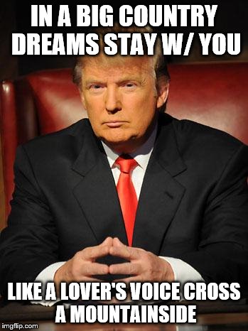 Serious Trump | IN A BIG COUNTRY DREAMS STAY W/ YOU; LIKE A LOVER'S VOICE
CROSS A MOUNTAINSIDE | image tagged in serious trump | made w/ Imgflip meme maker